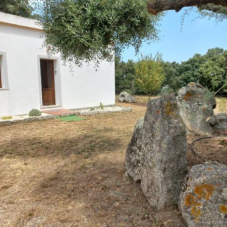 Chicchiritanos Bed & Breakfast Monti Eksteriør bilde