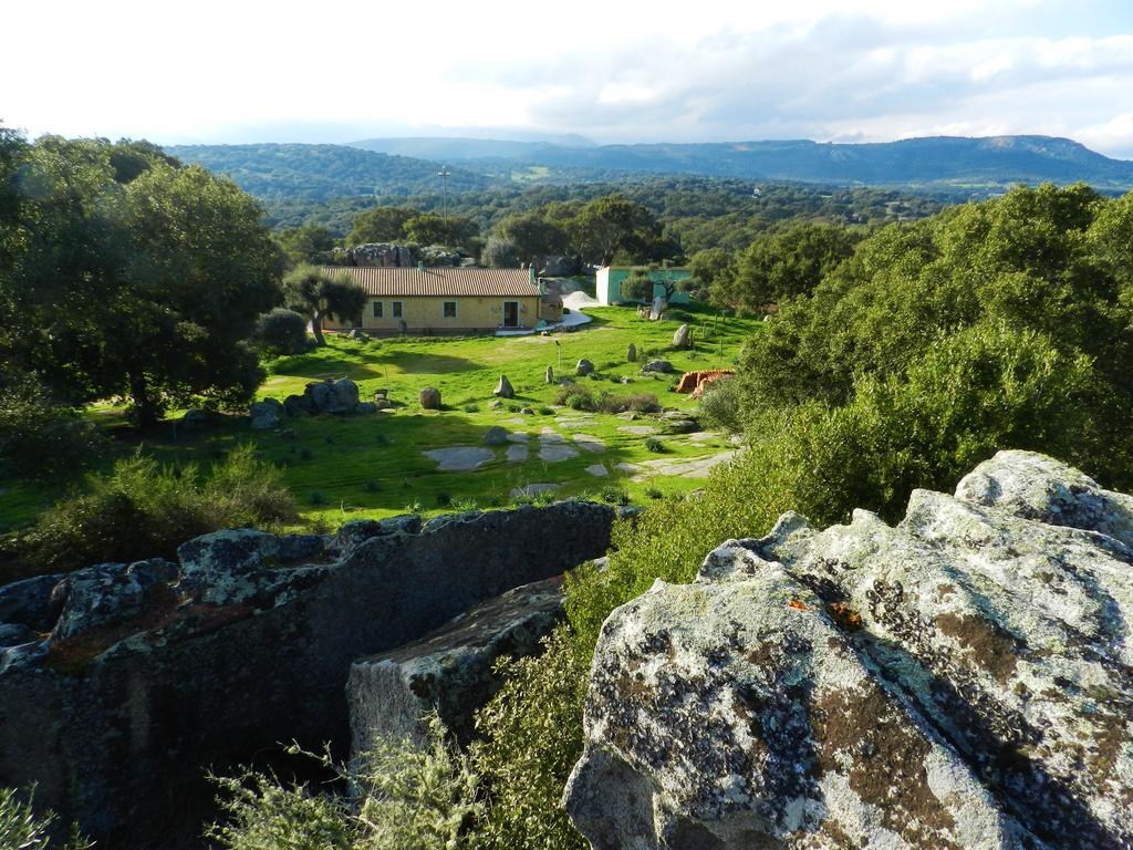 Chicchiritanos Bed & Breakfast Monti Eksteriør bilde